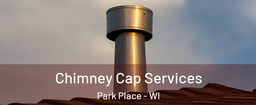 Chimney Cap Services Park Place - WI