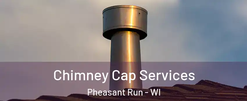 Chimney Cap Services Pheasant Run - WI