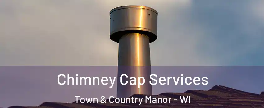 Chimney Cap Services Town & Country Manor - WI