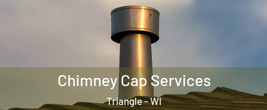 Chimney Cap Services Triangle - WI