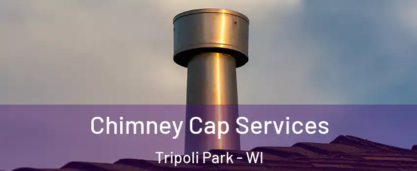 Chimney Cap Services Tripoli Park - WI