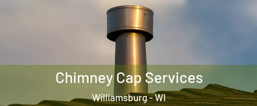 Chimney Cap Services Williamsburg - WI