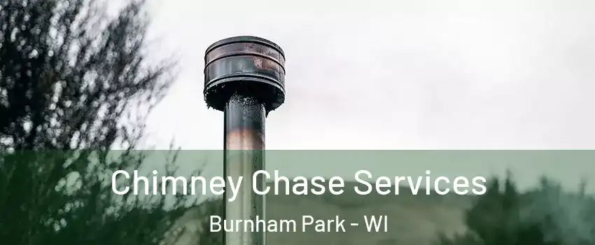 Chimney Chase Services Burnham Park - WI