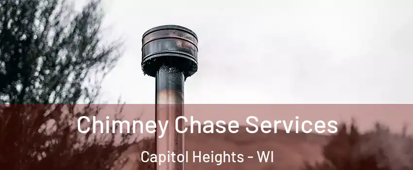 Chimney Chase Services Capitol Heights - WI