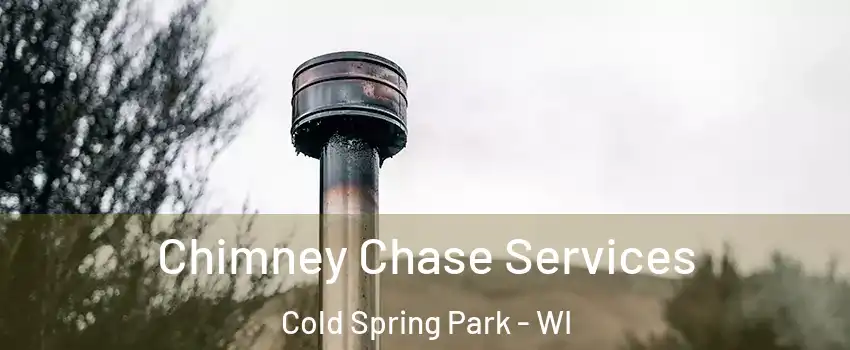 Chimney Chase Services Cold Spring Park - WI