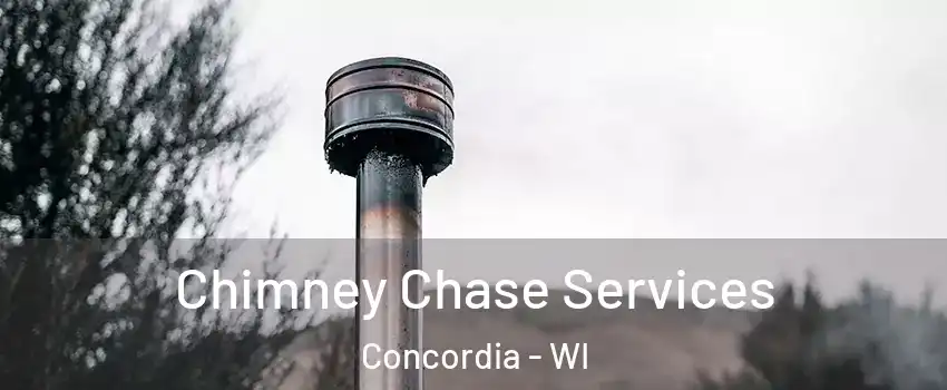 Chimney Chase Services Concordia - WI