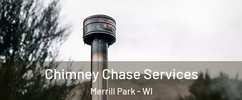 Chimney Chase Services Merrill Park - WI