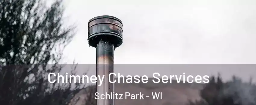 Chimney Chase Services Schlitz Park - WI