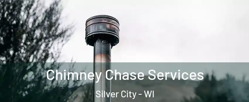 Chimney Chase Services Silver City - WI