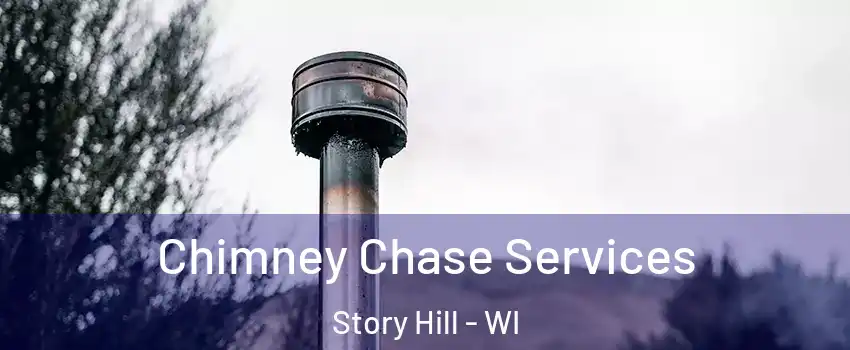 Chimney Chase Services Story Hill - WI