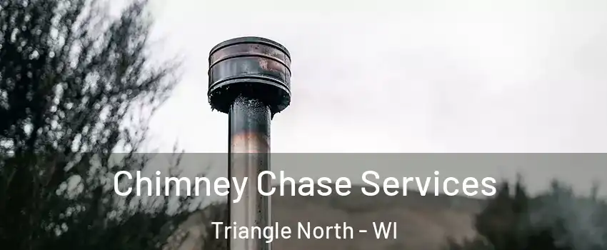 Chimney Chase Services Triangle North - WI