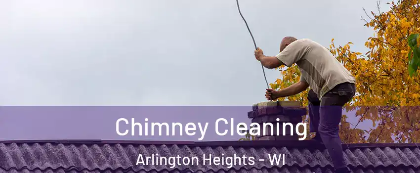 Chimney Cleaning Arlington Heights - WI