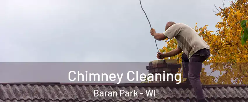 Chimney Cleaning Baran Park - WI