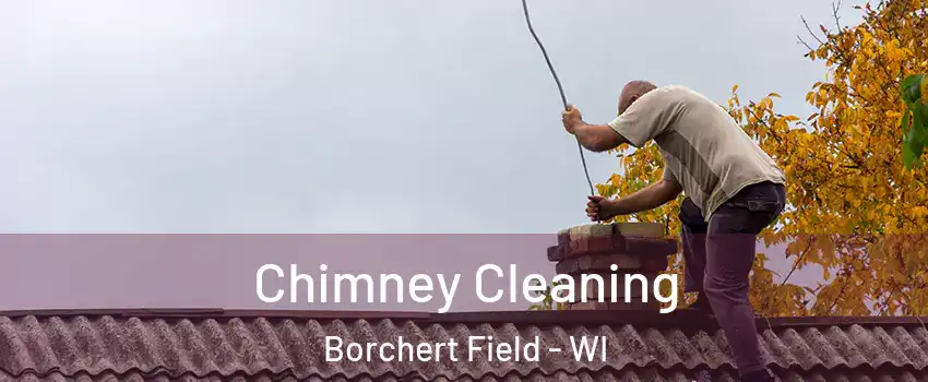 Chimney Cleaning Borchert Field - WI