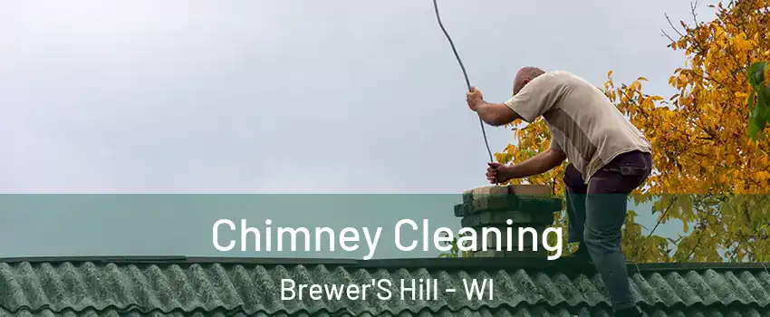 Chimney Cleaning Brewer'S Hill - WI