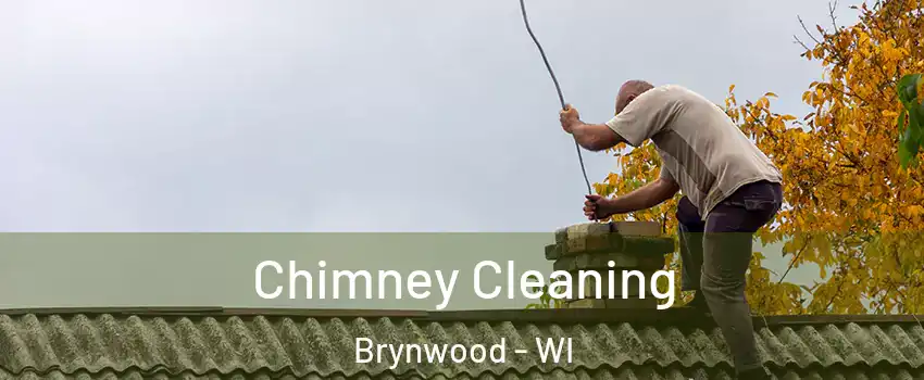 Chimney Cleaning Brynwood - WI