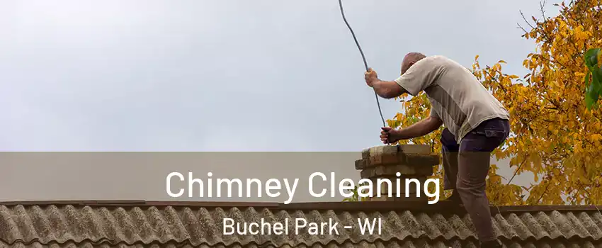 Chimney Cleaning Buchel Park - WI