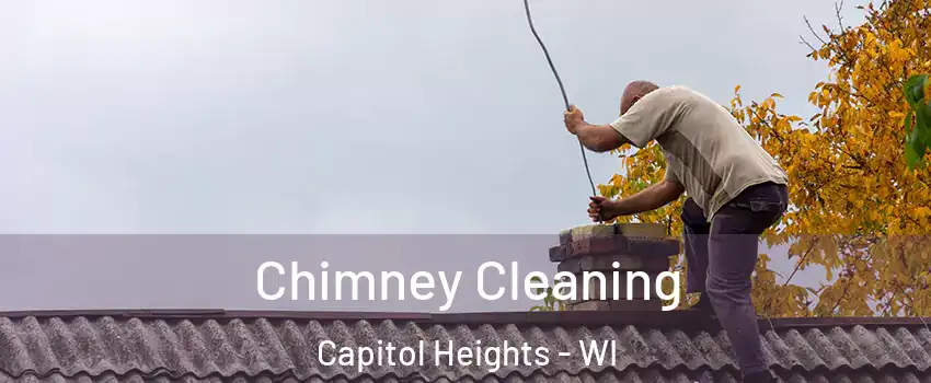 Chimney Cleaning Capitol Heights - WI