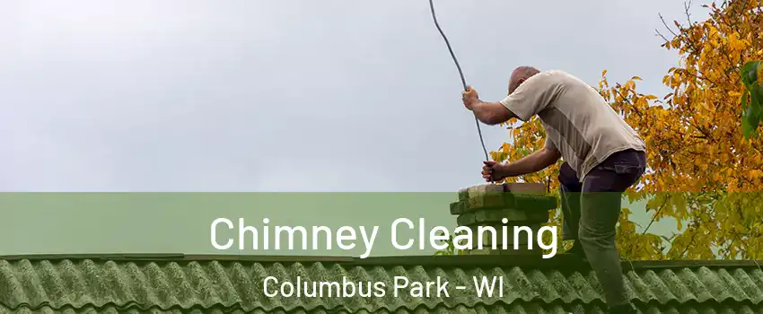 Chimney Cleaning Columbus Park - WI