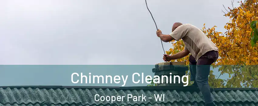 Chimney Cleaning Cooper Park - WI