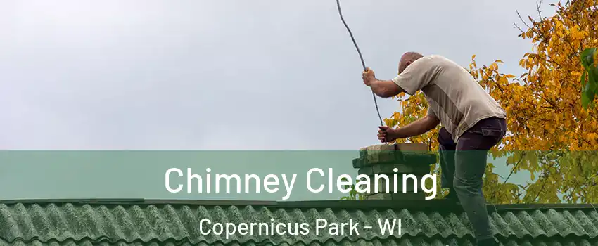 Chimney Cleaning Copernicus Park - WI