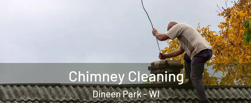 Chimney Cleaning Dineen Park - WI