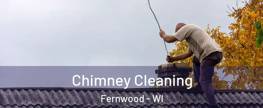 Chimney Cleaning Fernwood - WI