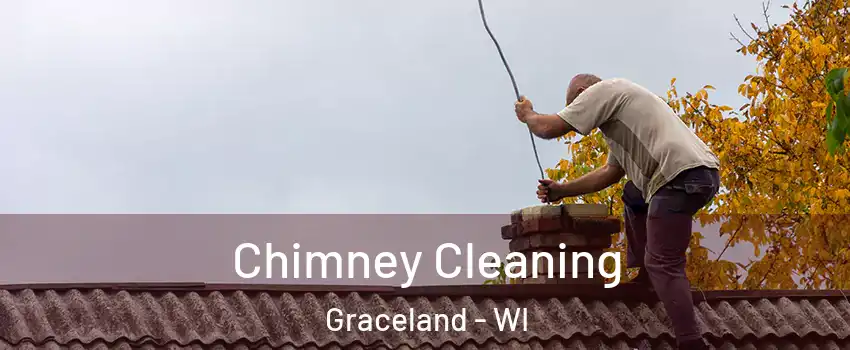 Chimney Cleaning Graceland - WI