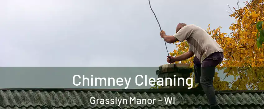 Chimney Cleaning Grasslyn Manor - WI