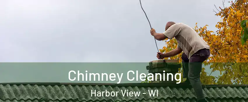 Chimney Cleaning Harbor View - WI