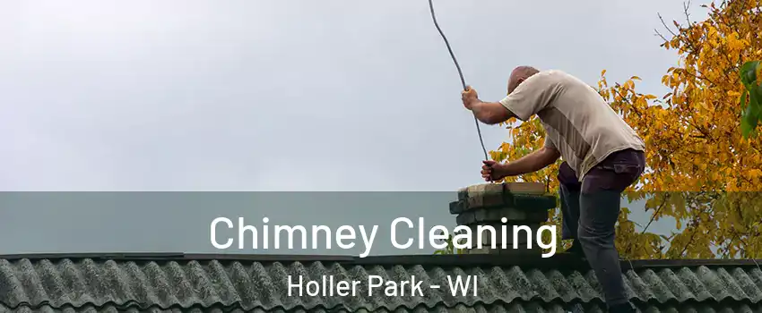 Chimney Cleaning Holler Park - WI