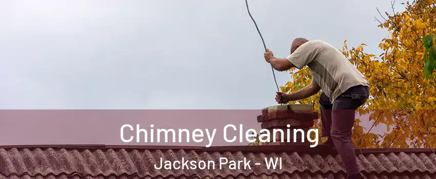 Chimney Cleaning Jackson Park - WI