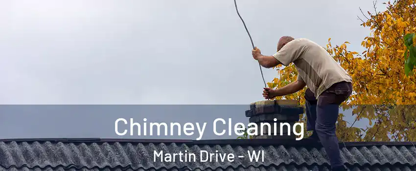 Chimney Cleaning Martin Drive - WI