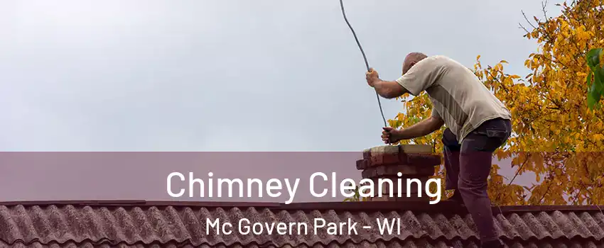 Chimney Cleaning Mc Govern Park - WI