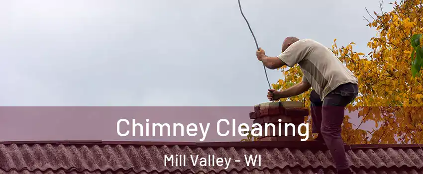 Chimney Cleaning Mill Valley - WI