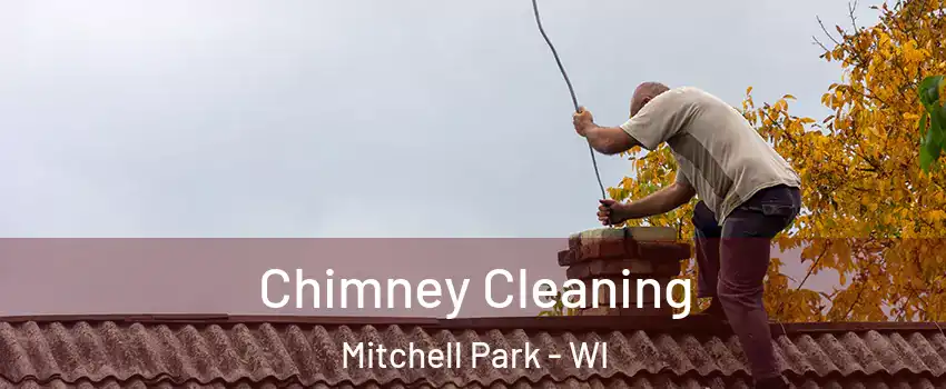 Chimney Cleaning Mitchell Park - WI