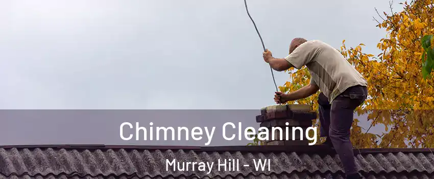 Chimney Cleaning Murray Hill - WI