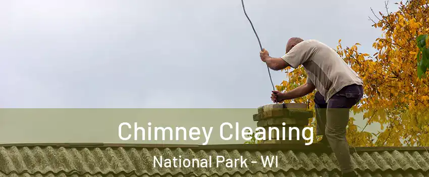 Chimney Cleaning National Park - WI