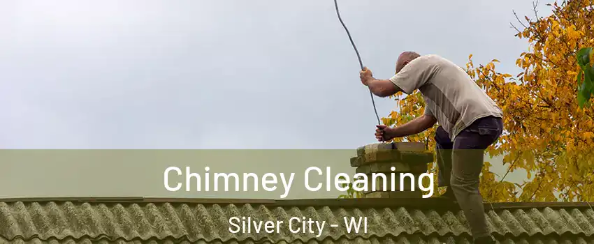 Chimney Cleaning Silver City - WI