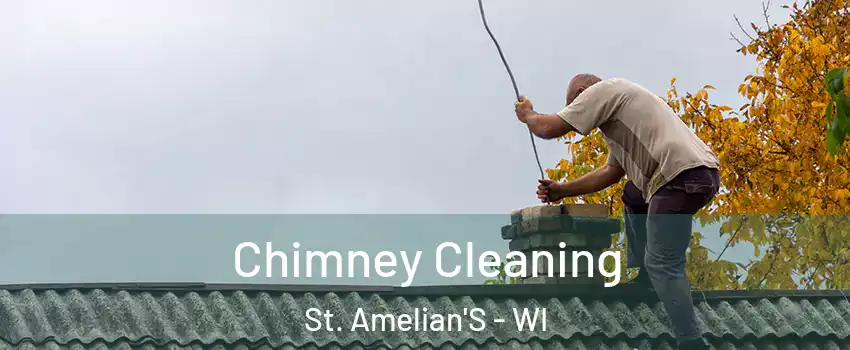 Chimney Cleaning St. Amelian'S - WI