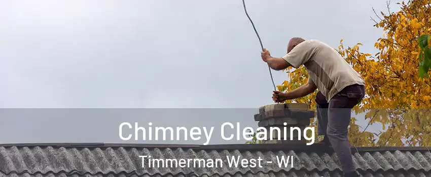 Chimney Cleaning Timmerman West - WI