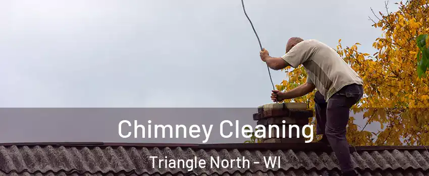 Chimney Cleaning Triangle North - WI