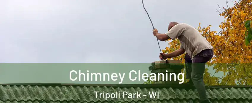 Chimney Cleaning Tripoli Park - WI