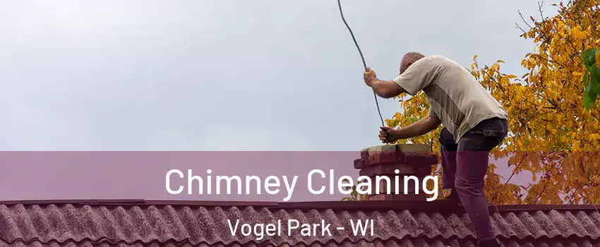 Chimney Cleaning Vogel Park - WI