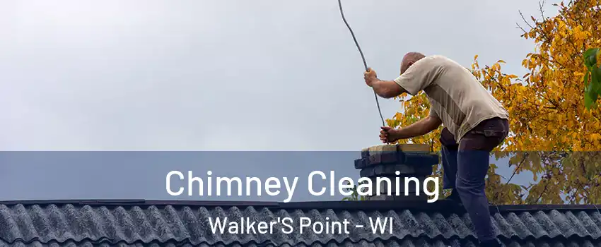 Chimney Cleaning Walker'S Point - WI