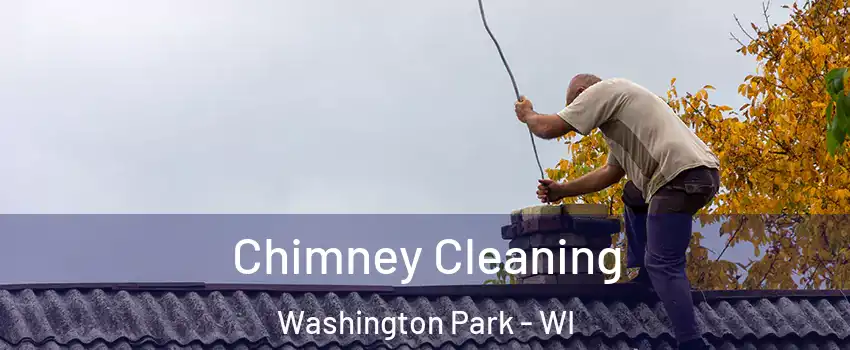 Chimney Cleaning Washington Park - WI