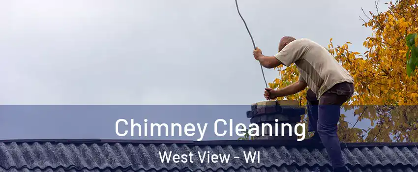 Chimney Cleaning West View - WI