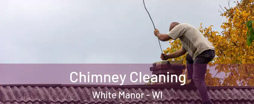 Chimney Cleaning White Manor - WI