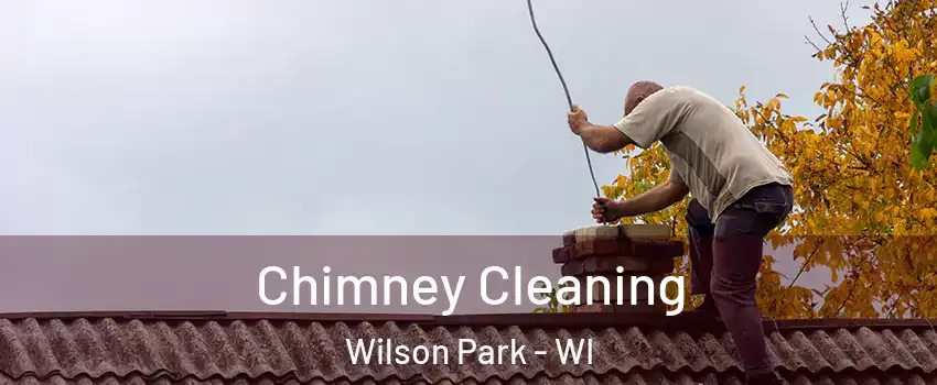 Chimney Cleaning Wilson Park - WI