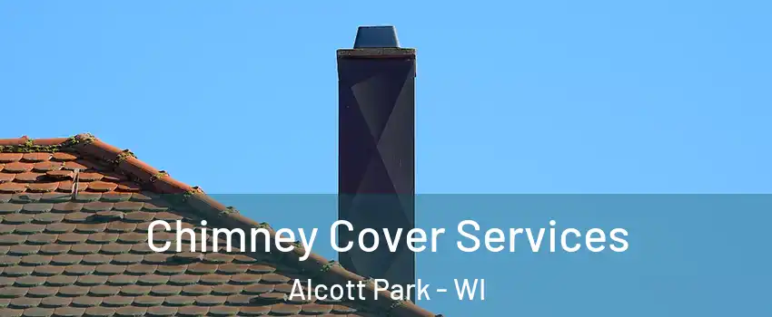 Chimney Cover Services Alcott Park - WI